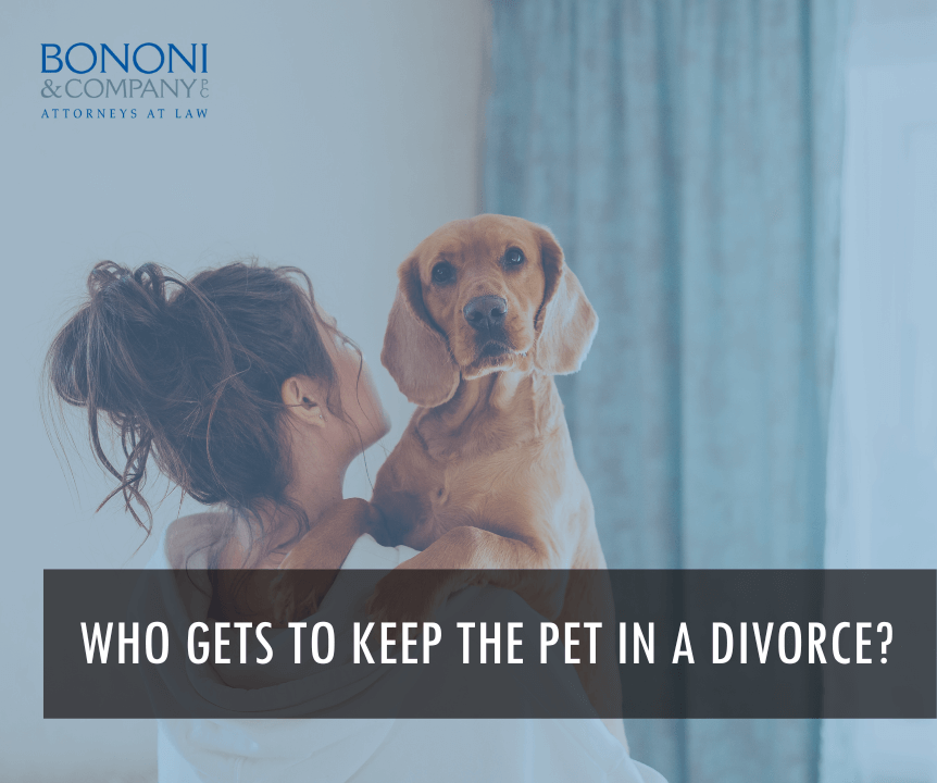 keeping the pet in a divorce